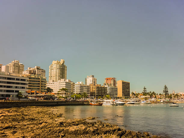 istock Punta del Este Port View Buildings and Boats 530418319