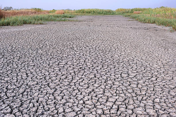 cracked dry earth, drought, disaster, dry riverbed stock photo