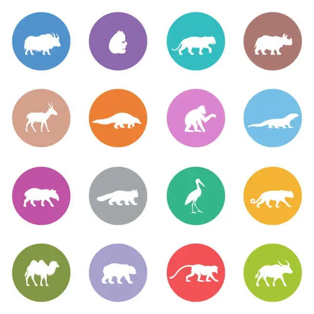 Vector illustration of Asian Animal Icons