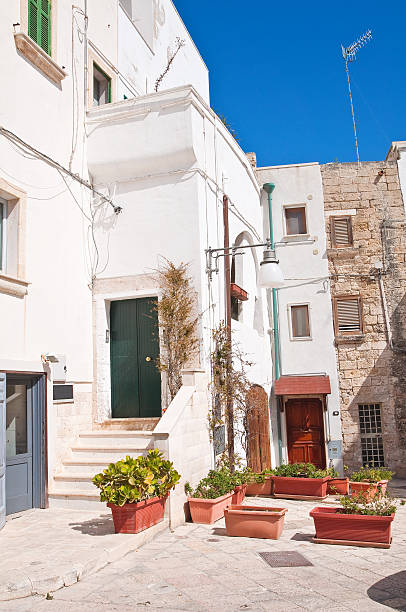 istock Alleyway. Polignano a mare. Puglia. Italy. 530420126