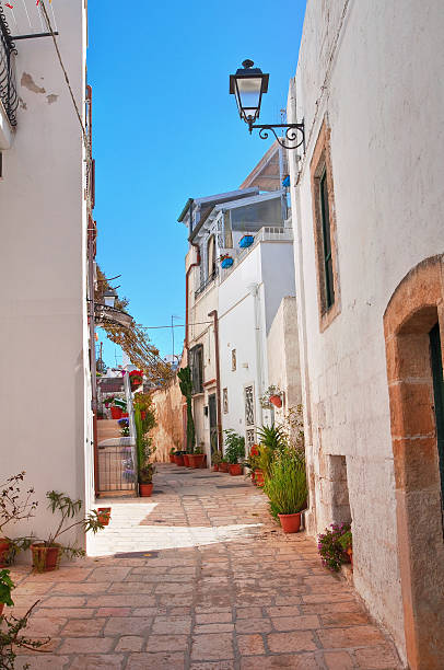 istock Alleyway. Polignano a mare. Puglia. Italy. 530420330