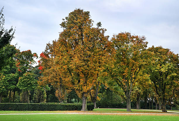 istock Cinquantenaire Park – Jubelpark. Brussels. Belgium 530421026