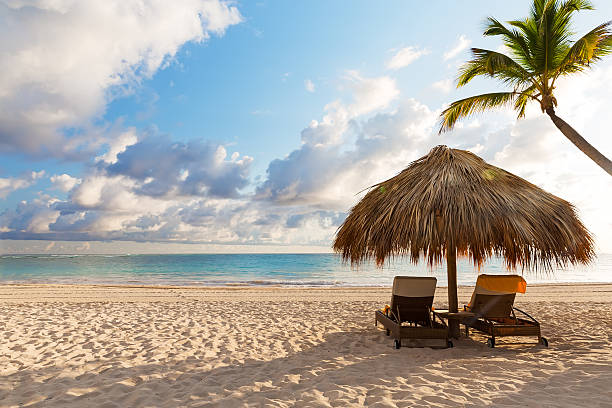 플라주 의자, 파라솔, 아름다운 모래 해변 - outdoor chair beach chair umbrella 뉴스 사진 이미지