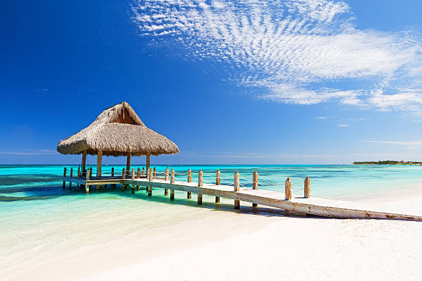 magnifique plage de sable blanc tropicale - pier water tropical climate seascape photos et images de collection