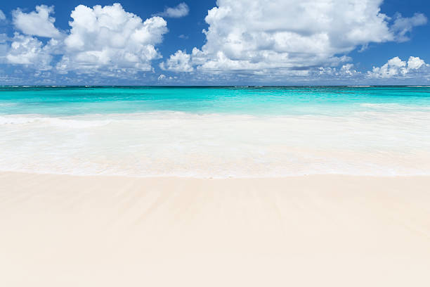 istock Wave of the sea on the sand beach 530423806
