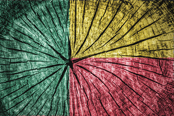 istock flag of Benin 530424149