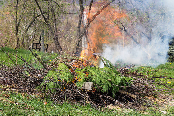 Fire and Smoke from during Burning branches Fire and Smoke from during Burning of garden waste ash tree photos stock pictures, royalty-free photos & images
