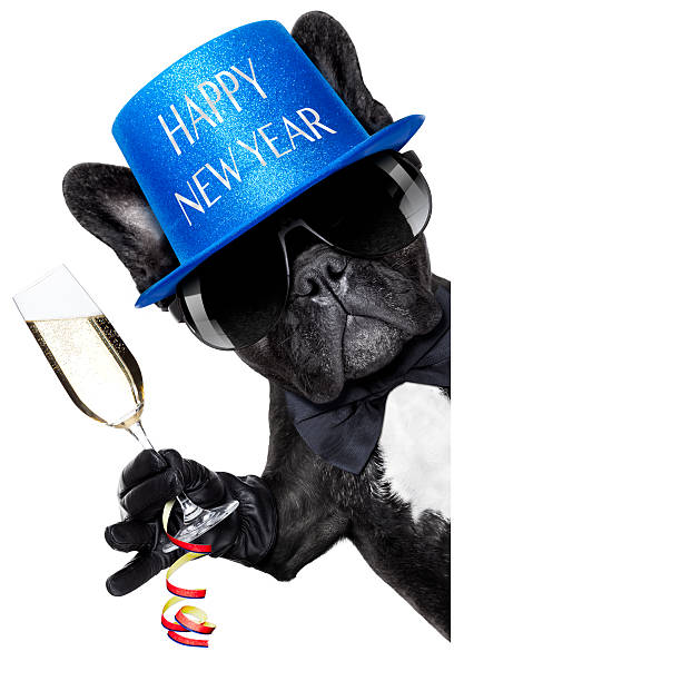 istock happy new year dog 530425655