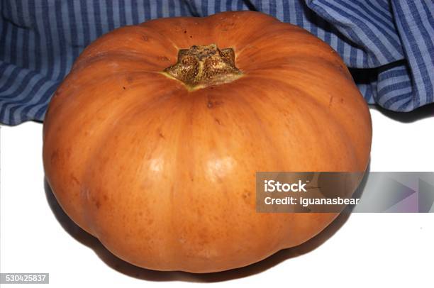 Yellow Orange Pumpkin Stock Photo - Download Image Now - Agriculture, Autumn, Butternut Squash