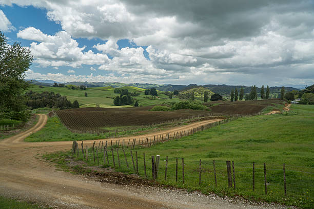istock Farmlands. New Zealand 530425913