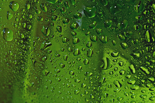 Fresh green background drops