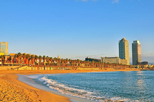 istock On the beach of Barcelona 530426483