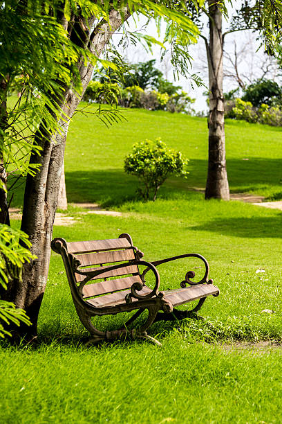 istock An old bench in a park 530429004