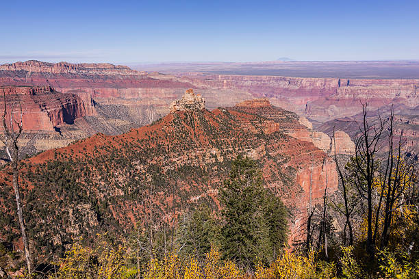 parque nacional do grand canyon. borda norte. vista de vista encantada - north american tribal culture grand canyon indian culture navajo - fotografias e filmes do acervo