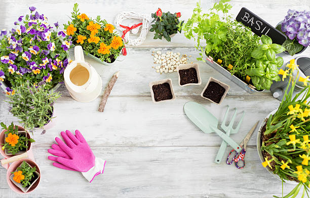 istock Gardening kit on wooden table 530430054