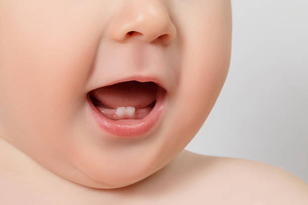 closeup of a Baby teeth close-up Baby mouth with two rises teeth human teeth stock pictures, royalty-free photos & images