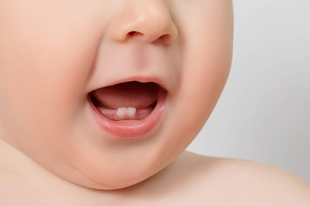 closeup of a Baby teeth close-up Baby mouth with two rises teeth baby teeth stock pictures, royalty-free photos & images