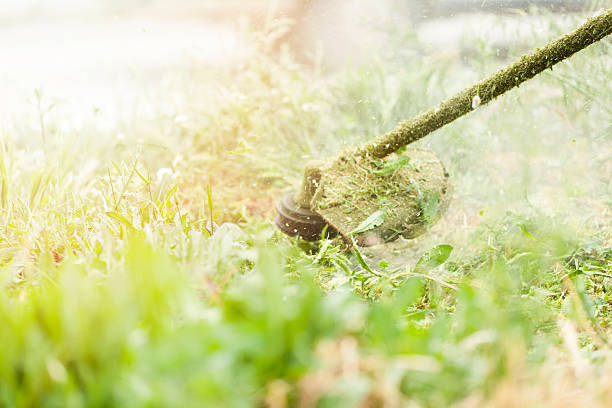 segar el césped - hedge clippers weed trimmer grass lawn fotografías e imágenes de stock