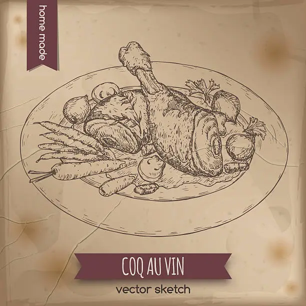 Vector illustration of Vintage coq au vin aka chicken in wine vector sketch.