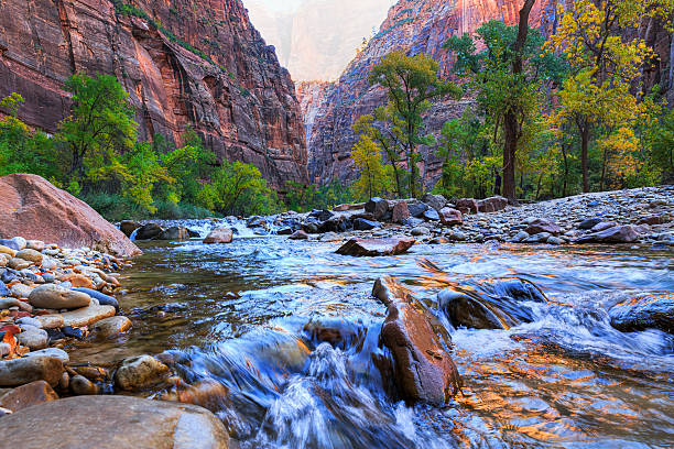 istock Virgin River, Zion Canyon National Park 530433476