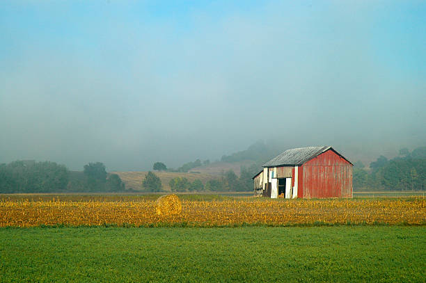 Weathered Barn in Autumn Field stock photo