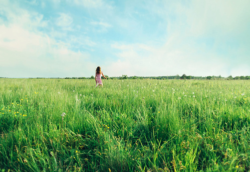 Little girl in pink dress running on summer green meadow, rear view