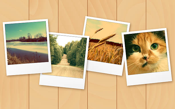 istock Retro photos on wooden background 530435630