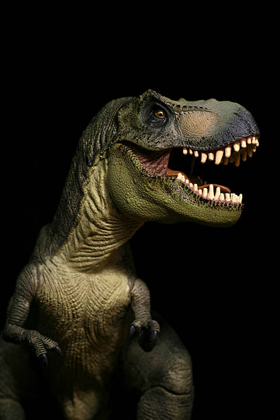 Isolated dinosaur on white background
