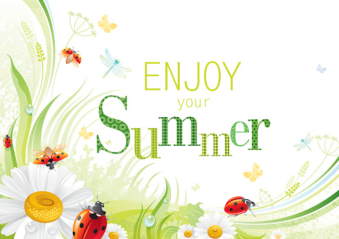 Four seasons: Summer banner with ladybug