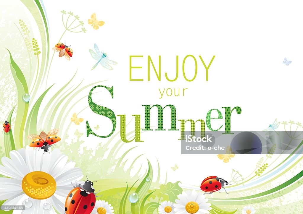 Four seasons: Summer banner, ladybug Four seasons: Summer banner with ladybug Ladybug stock vector