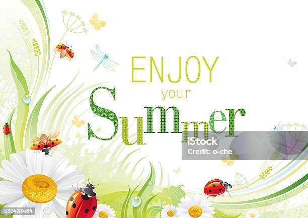 Four Seasons Summer Banner Ladybug Stock Illustration - Download Image Now - Ladybug, Leaf, Agricultural Field