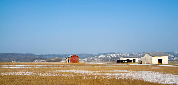 Weathered Barns with a Big Sky stock photo