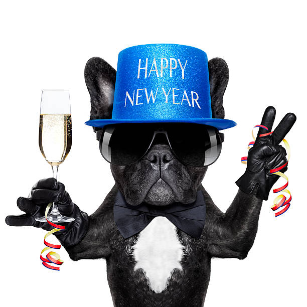 istock happy new year dog 530440299