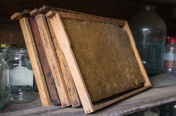 istock honeycomb on the shelf 530441792