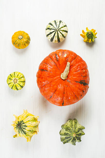 small and big pumpkin