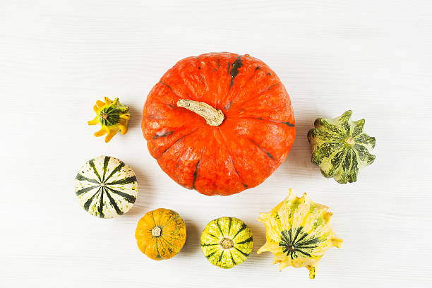 small and big pumpkin