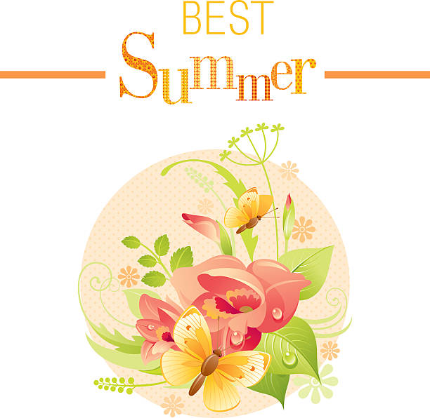 illustrations, cliparts, dessins animés et icônes de quatre saisons : bannière d'été, papillon - gladiolus flower beauty in nature white background