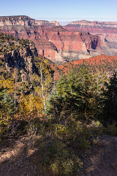 grand canyon national park. versante nord del grand canyon. point da vista encantada - north american tribal culture grand canyon indian culture navajo foto e immagini stock