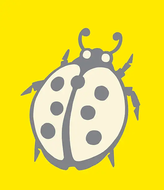 Vector illustration of Lady Bug