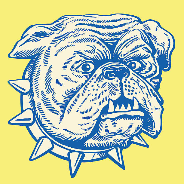 Bulldog With Spiky Collar http://csaimages.com/images/istockprofile/csa_vector_dsp.jpg mean dog stock illustrations