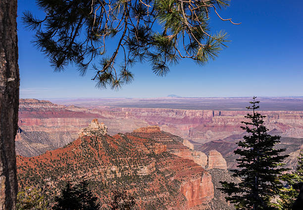 grand canyon national park. versante nord del grand canyon. point da vista encantada - north american tribal culture grand canyon indian culture navajo foto e immagini stock