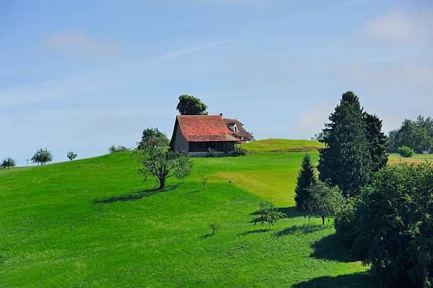 istock Swiss countryside-typical farmhouse 01 530445353