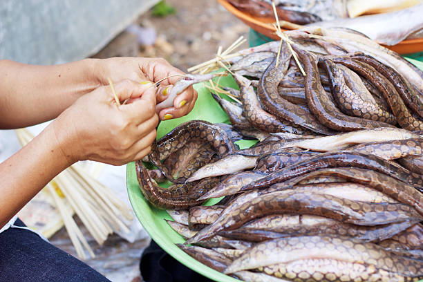 istock Fresh fish - in the market 530448399