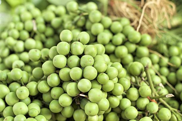 istock fresh eggplant at the market 530448483