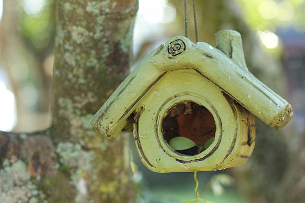 istock Bird house in the nature 530448485