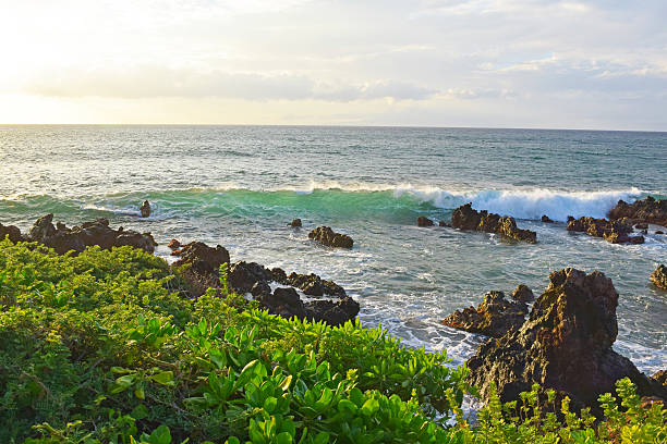 istock Wailea Point, Maui 530450139