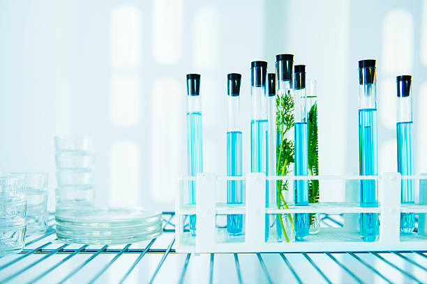 istock Biology investigation in laboratory 530450963
