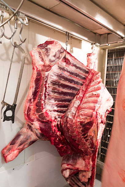 istock Quarters of veal and pork 530456821