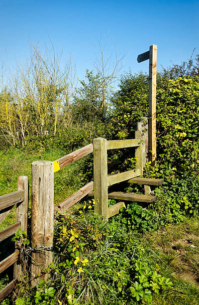 istock Norfolk footpath sign and stile 530457087