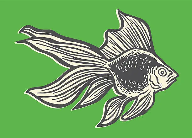 Vector illustration of Beta Fish